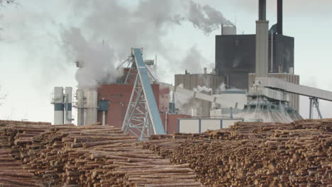 TILT-UP---A-wood-pulp-factory-and-huge-stacks-of-tree-trunks