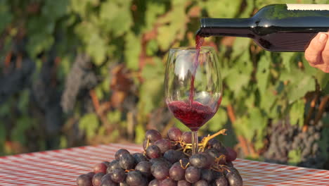 Degustación-De-Vinos,-Vino-Tinto-En-El-Fondo-De-Los-Viñedos-En-Langhe,-Piamonte