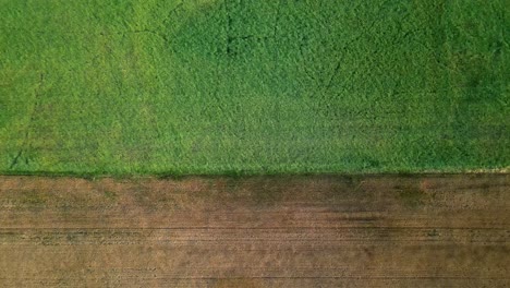 Slowly-descending-aerial-shot-above-two-different-crop-fields-in-the-rural-midwest-of-the-USA