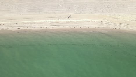 Overhead-view:-Person-sits-alone-on-sandy-beach,-gentle-green-waves