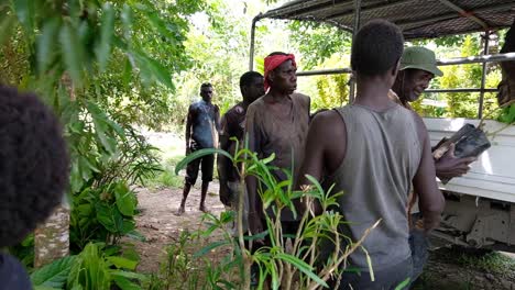 Un-Equipo-De-Personas-Que-Utilizan-El-Trabajo-En-Equipo-Para-Entregar-Plántulas-De-Cacao-A-Los-Agricultores-En-La-Remota-Bougainville,-Papúa-Nueva-Guinea