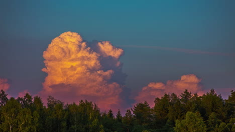 Time-lapse-shot-of-billowing-cumulus-clouds-in-the-background-of-a-forest