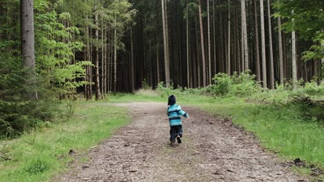 Kleinkind-Auf-Der-Flucht-Vor-Der-Kamera-In-Einem-Bayerischen-Wald