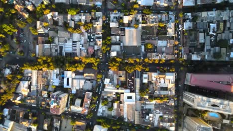 Aerial-top-down-truck-right-over-Santiago-city-residential-area-houses-and-traffic-in-avenues-at-golden-hour,-Chile