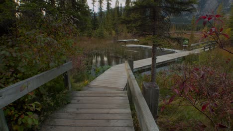 Boardwalk-by-a-swamp-in-forest-at-autumn