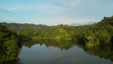 Aerial-view-over-green-lagoon-and-reflection-of-forest-jungle-trees