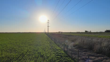 Forward-aerial-of-green-fields,-powerlines-and-low-sun-at-the-Pampas