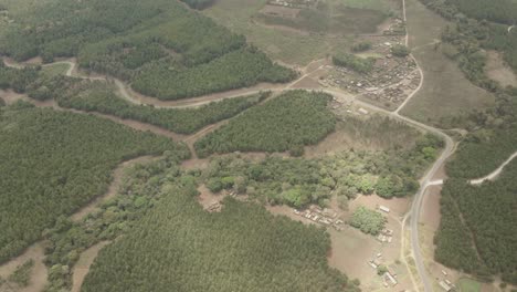 Drone-Vuela-Sobre-El-Bosque-Verde-En-Las-Laderas-Del-Monte-Kilimanjaro