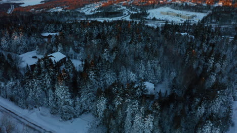 Aerial-view-flying-over-rural-houses-in-a-snow-covered-pine-forest-at-sunset