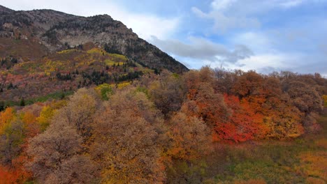 Colorful-autumn-mountainside-in-the-Rocky-Mountains-with-fall-colors---push-in-aerial-view