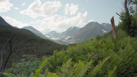 Exuberante-Bosque-Verde-Y-Hermosa-Cadena-Montañosa-En-Lyngsdalen-Noruega---Toma-Amplia