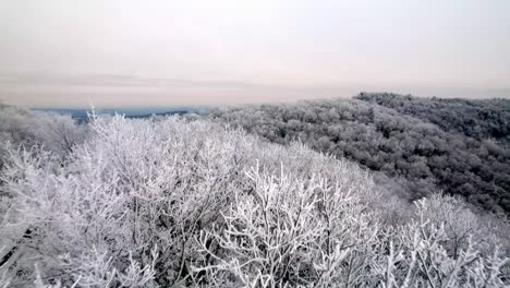 Raureifeis-Auf-Den-Baumwipfeln-Im-Winter-In-Den-Blue-Ridge-Mountains-In-Der-Nähe-Von-Boone-Und-Blowing-Rock-NC,-North-Carolina