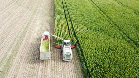 Aerial-shot-of-cornfield-harvest