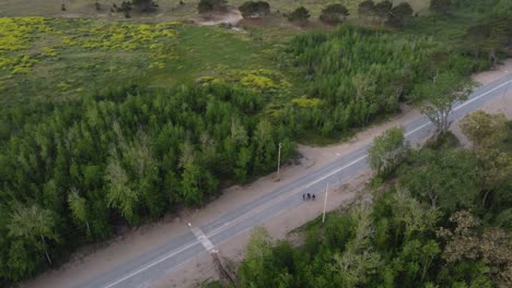 Aerial-orbit-shot-of-group-of-people-walking-on-dangerous-busy-rural-road-in-Argentina