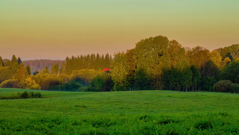 Idyllic-sunrise-with-golden-sun-illuminating-trees-and-grass-field-in-autumn,time-lapse