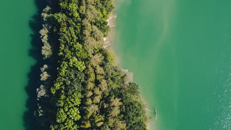 Top-down-drone-flight-over-island-in-lake