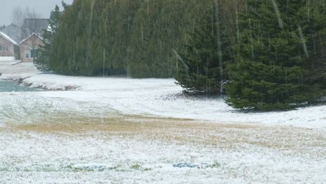 A-downpour-of-hail-falling-onto-a-backyard-of-a-house-in-a-rural-neighborhood-with-a-pond-and-pine-trees-in-the-background