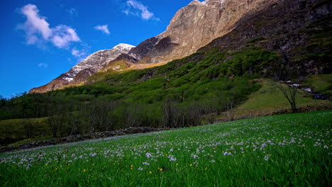 Time-lapse-shot-of-flying-clouds-over-green-meadow-and-mountains-during-summer-day-and-blue-sky---Dark-mystic-Shadows-in-valley-and-on-mountain-range