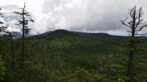 Wunderschöner-Alter-Wald,-Der-Sich-An-Einem-Düsteren-Und-Bewölkten-Tag-über-Die-Hügel-Und-Berge-Des-Sunshine-Coast-Trail-In-British-Columbia,-Kanada,-Erstreckt