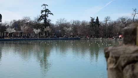 Big-pond-at-Retiro-Park,-Madrid