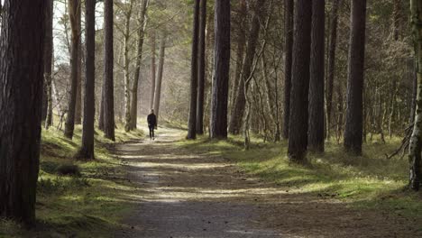 Exercising-walking-female-starts-jogging-among-trees-in-forrest-on-a-sunny-day