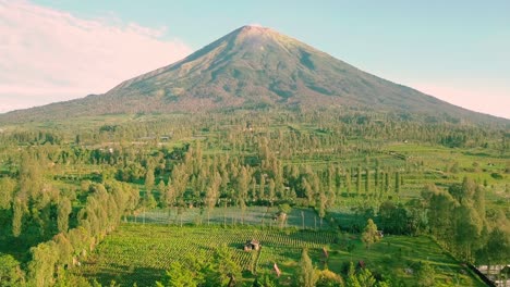Mount-Sindoro-with-rural-view-and-lush-trees-in-tobacco-plantations-with-blue-sky-on-the-background-in-the-morning