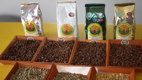 Verschiedene-Arten-Von-Kaffeebohnen,-Nahaufnahme-Einer-Hand,-Die-Kaffeebohnen-Berührt,-Kaffeeröster,-Röstmaschine,-Kaffeebohnen,-Costa-Rica,-Fabrik,-Bali,-Kolumbien