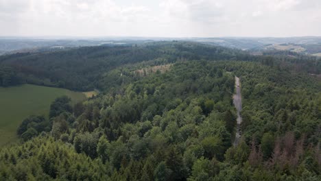 Vista-De-Pájaro-De-Las-Montañas-Cubiertas-De-Pinos-De-Ruebengarten-En-Alemania-Que-Forman-Un-Gran-Contraste-Con-Los-Hermosos-Prados-Verdes-En-El-Medio