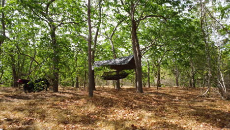 Army-Hammock-Under-The-Roof-Hanging-From-The-Tree-In-The-Forest