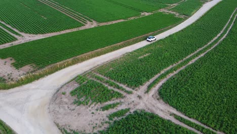 Car-driving-through-the-potato-fields-in-Belgium