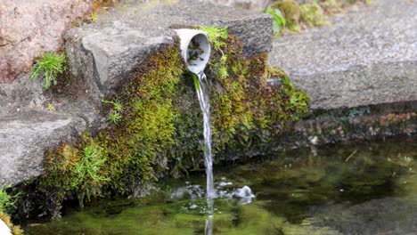 Water-flowing-from-a-mossy-and-dirty-plastic-spout-in-a-stone-fountain