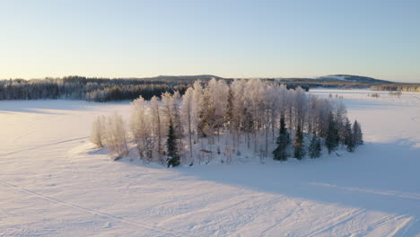 Luftaufnahme-Um-Einen-Kreis-Isolierter-Frostiger-Waldbäume-In-Der-Idyllischen-Skandinavischen-Winterlandschaft