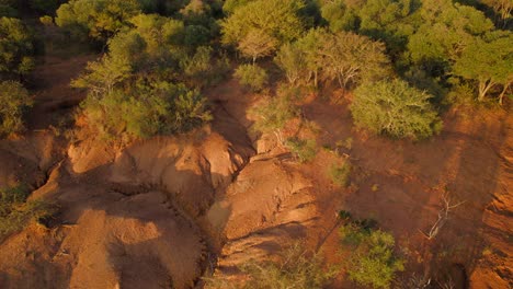Forward-moving-aerial-over-sand-dunes-of-grassland-with-thick-density-of-trees-in-Africa