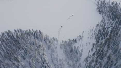 Luftaufnahme-Mit-Blick-Auf-Das-Hundeschlitten-Konvoi-Team,-Das-In-Die-Schneebedeckte-Waldwildnis-Reitet