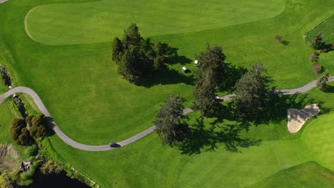 Aerial-shot-of-golf-carts-meandering-through-the-green-searching-for-their-balls