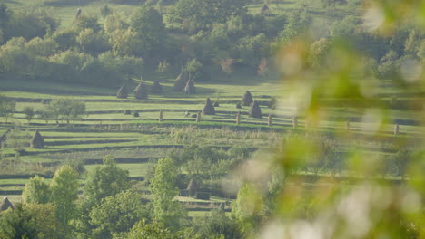 FOCUS-PULL-WIDE-shot---a-classic-rural-scene-with-many-traditional-haystacks