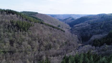 flying-through-hills-during-a-sunny-spring-day-in-the-Ardennes