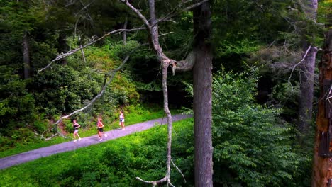 Runners-running-around-Trout-Lake-off-Blue-Ridge-Parkway