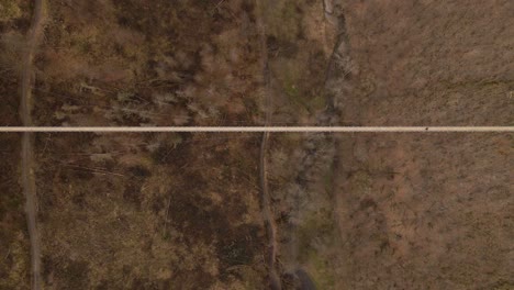 One-person-walking-over-a-long,-expansive-suspension-bridge-above-a-brown-leafless-forest