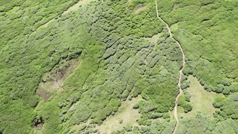 Luftaufnahme-Der-Tundra-Landschaft-|-Mount-Bierstadt,-Colorado