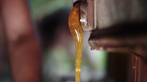 Close-Up-View-of-Freshly-Extracted-Golden-Liquid-Bee-Honey-Flowing-from-Extractor-Tank,-Traditional-Apiculture-and-Pure-Honey-Harvest-in-Bee-Farm,-Beautiful-Blurred-Background