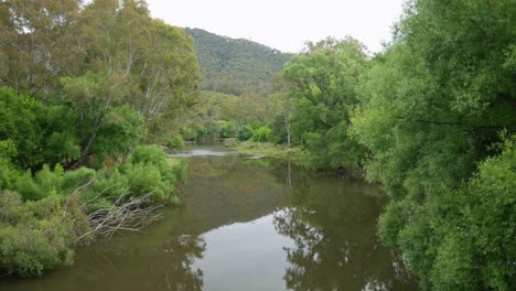 View-downstream-of-the-Mitta-Mitta-River-at-the-township-of-Mitta-Mitta,-north-east-Victoria,-Australia