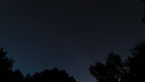 Silhouette-of-trees-against-dark-night-starry-sky,-time-lapse-view