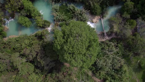 Aus-Dem-Baldachin-Eines-Großen-Baumes-In-Der-Nähe-Eines-Flusses-Mit-Blauem-Wasser-Im-Dschungel-Von-Chiapas,-Mexiko