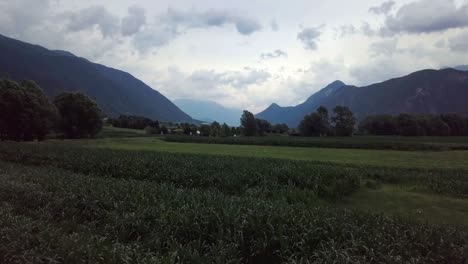 Luftaufnahme-Eines-Landwirtschaftlichen-Feldes-In-Levico-Terme,-Italien,-Während-Des-Sonnenaufgangs-Mit-Drohne,-Die-In-Geringer-Höhe-Rückwärts-Fliegt