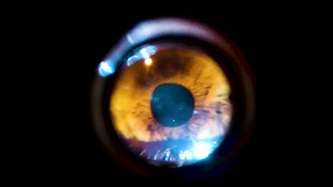 Peephole-extreme-close-up-of-eye-looking-around-with-black-around-it-as-on-a-door-from-the-outside-perspective