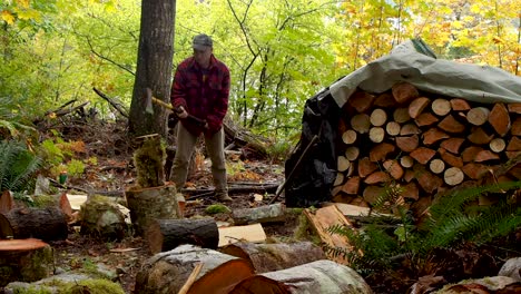 Chopping-firewood-in-a-rainforest-in-BC-with-an-axe