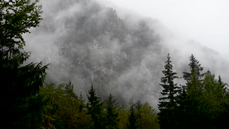 Rainy-day-in-Alpine-valley-with-low-clouds,-Logarska-dolina,-Slovenia,-clouds-and-fog-slowly-moving-behind-trees,-unpredictable-mountain-weather,-danger-for-hikers-and-climbers,-4k