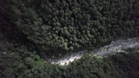Aerial-top-view-of-the-forest-in-Sugana-Valley,-Trentino,-Italy-with-drone-rotating-while-descends