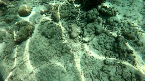 Top-view-of-the-sand-bedding-underwater